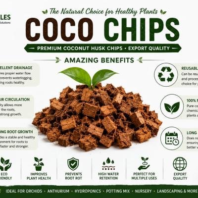 Coco Chips